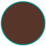 Bruin