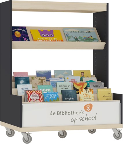 Foxis KDV browser boekenkast enkelzijdig - B900 x D600 x H1176 mm - ahorn-antracietgrijs-2